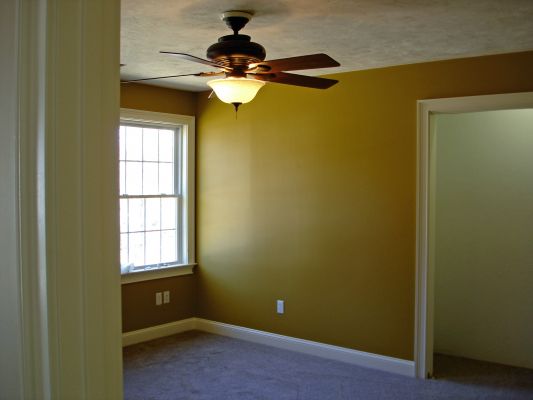 Interior Painter